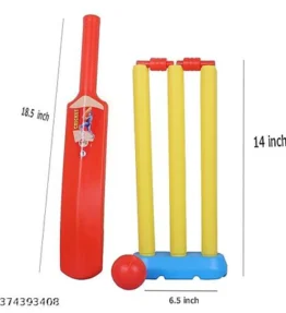 Fancy Cricket Set